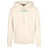 Basic hoodie Thumbnail