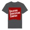 Rocker the essential unisex t-shirt (STTU758) Thumbnail