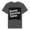 Rocker the essential unisex t-shirt (STTU758) Thumbnail